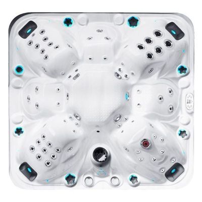 Basen SPA PassionSpas The Joy (Holandia), 225 x 225 x 91 cm