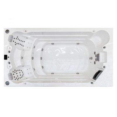 Basen spa Whirlcare Swim Spa Edition SURFER (Niemcy), 432x233x150 cm